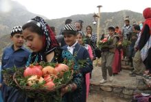 مهرگان؛ جشنی که ثبت جهانی شد اما در پستو ماند!