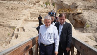 وزیر میراث فرهنگی: سیراف فراتر از بوشهر و ایران است