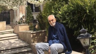 پیام محمدعلی موحد به مناسبت بازسازی مزار شمس تبریزی