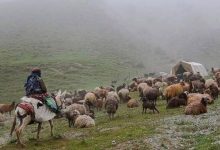 ۱۲۰ روستای خراسان رضوی در انتظار تبدیل ظرفیت‌های گردشگری به مقصد