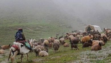 ۱۲۰ روستای خراسان رضوی در انتظار تبدیل ظرفیت‌های گردشگری به مقصد